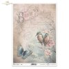  kwiat, ptak, motyl, ćma, ogród, pastelowe tło, list, ręczne pismo, krzew owocowy, drzewo owocowe, R977, flower, bird, butterfly, moth, garden, pastel background, letter, handwriting, fruit bush, fruit tree, Blume, Vogel, Schmetterling, Motte, Garten, pas